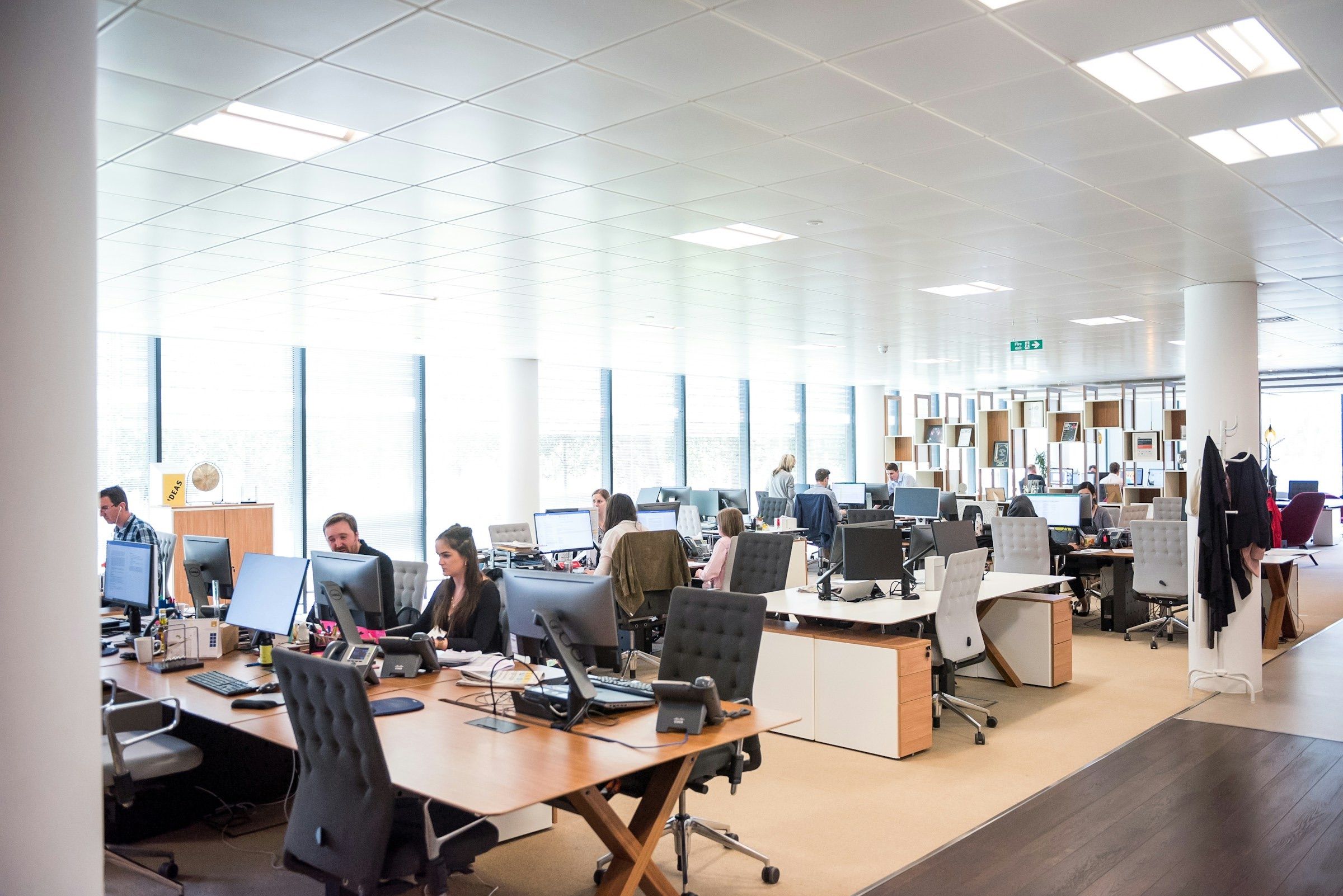 A bright open-plan office with rows of desks and monitors where staff work quietly beside a long wall of floor-to-ceiling windows, white ceiling panels overhead